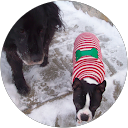 Jolanta Gasienica profile picture